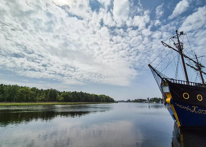 In With Wifi * Dziwnówek